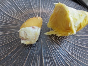 Durian seed (L) and pod (R)